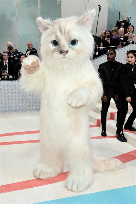 Why The 2023 Met Gala Was Filled With Choupette The Cat 